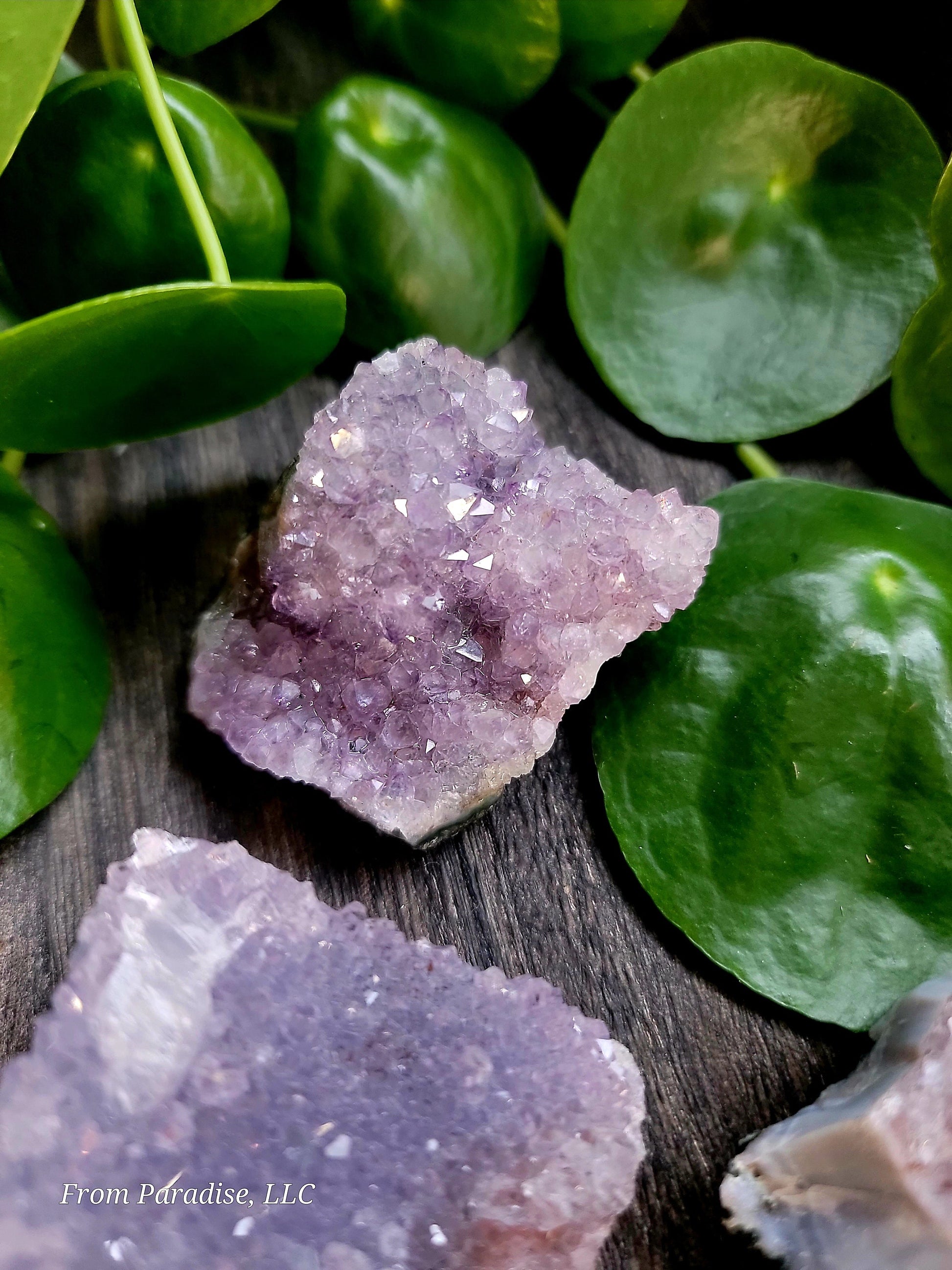 Amethyst Druzy Cluster