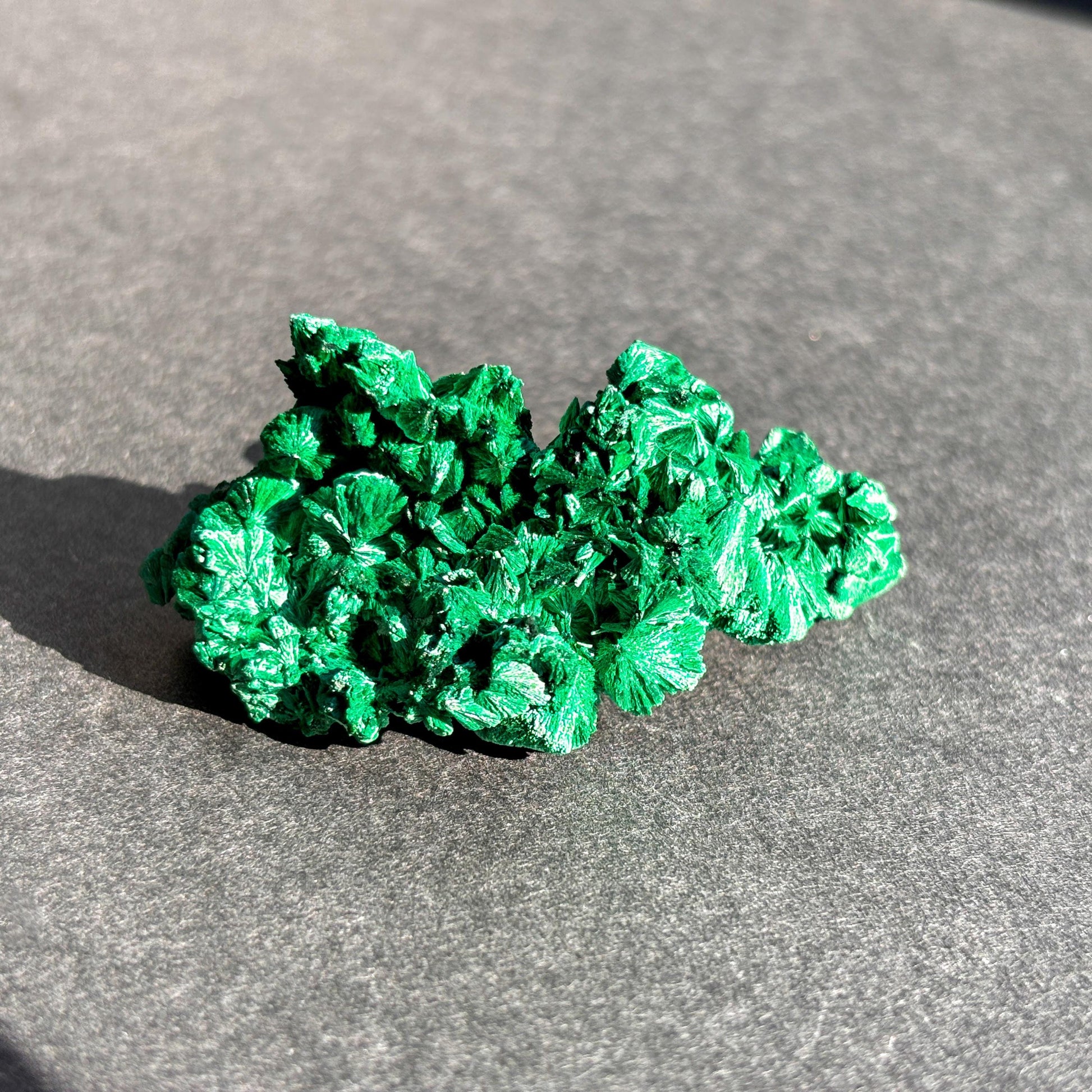 Raw Malachite Mineral Specimen against a black background