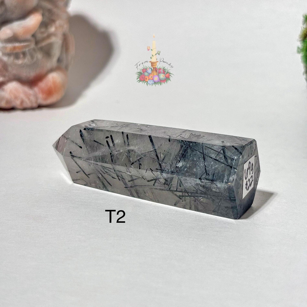 Clear Quartz with Black Tourmaline Tower, Tourmaline Quartz, Tourmalinated Quartz Crystal Point Home Decor, Black Tourmaline in Clear Quartz