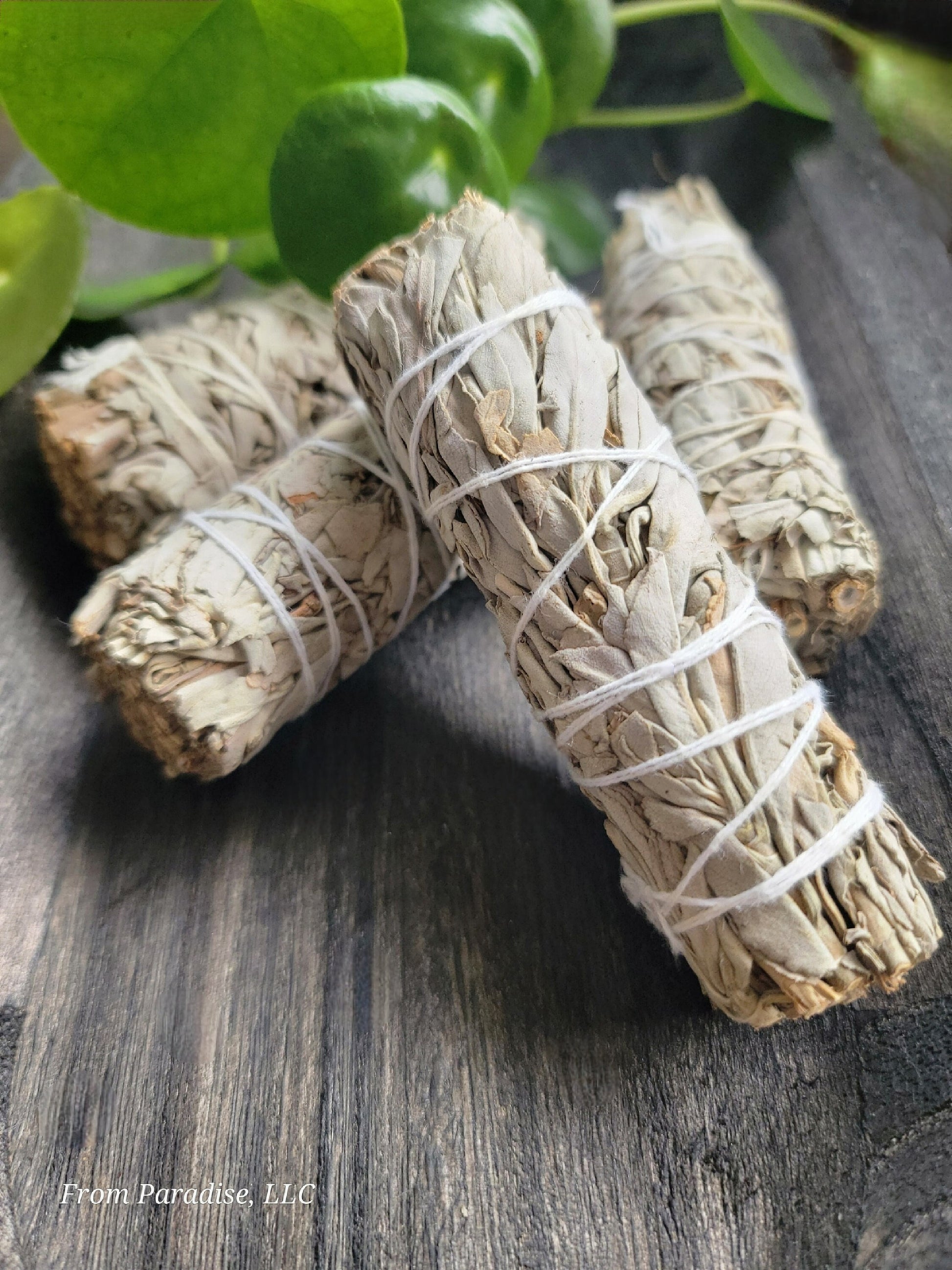 white sage stick smudge stick sacred smoke