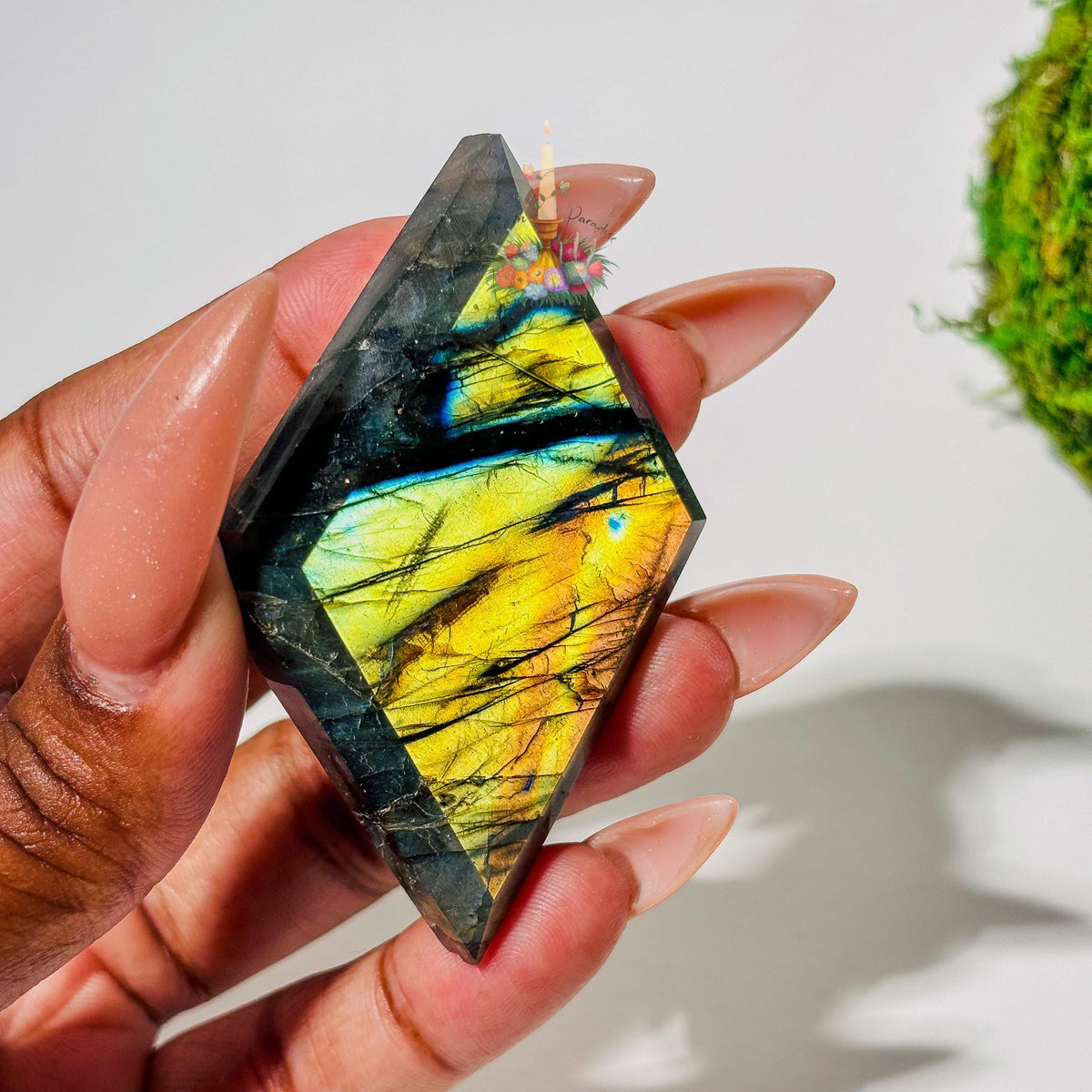 Polished diamond-shaped labradorite stone with vibrant yellow and blue flash held in hand.