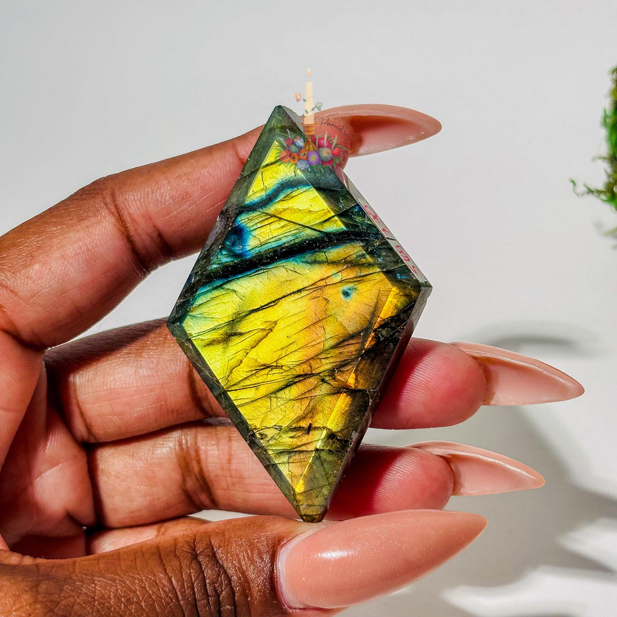 Polished diamond-shaped labradorite stone with vibrant yellow and blue flash held in hand.